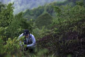 BIB: 
                            <button type="button" onclick="openModal(24763937)" class="btn btn-primary btn-sm float-right btn-popup" data-toggle="modal" data-target=".modal-high-quality">
                        <i class="fas fa-shopping-cart"></i> Add to Cart
                    </button>
                                            <button type="button" onclick="isThisMe(24763937, true)" class="btn btn-success btn-sm float-right btn-popup btn-isme hidden" data-toggle="tooltip" data-placement="bottom" title="นี่คือรูปของคุณใช่ไหม คลิกที่นี่เพื่อเอาเข้าอัลบั้ม">
                        <i class="fas fa-plus"></i> Add to album
                    </button>
                    <button type="button" onclick="isThisMe(24763937, false)" class="btn btn-warning btn-sm float-right btn-popup btn-isnotme hidden">
                        <i class="fas fa-ban"></i> Remove from album
                    </button>